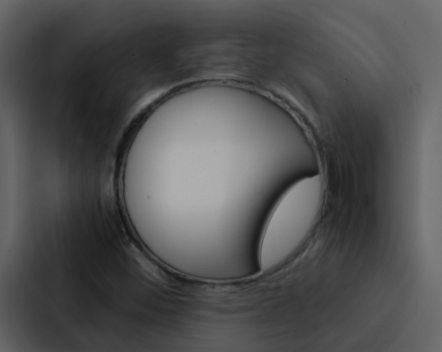 X0000088151452200705141042