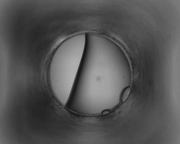 X0000088151455200705141042