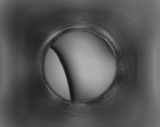 X0000088151456200705141042