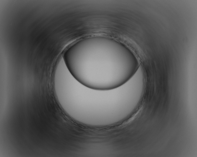 X0000088151457200705141042