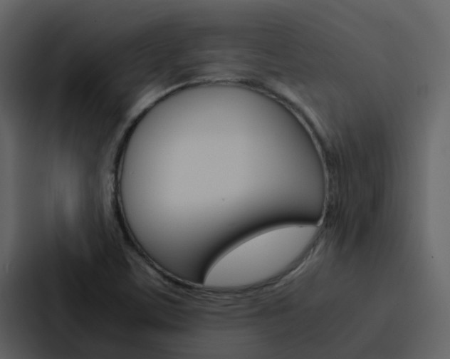 X0000088151459200705141042