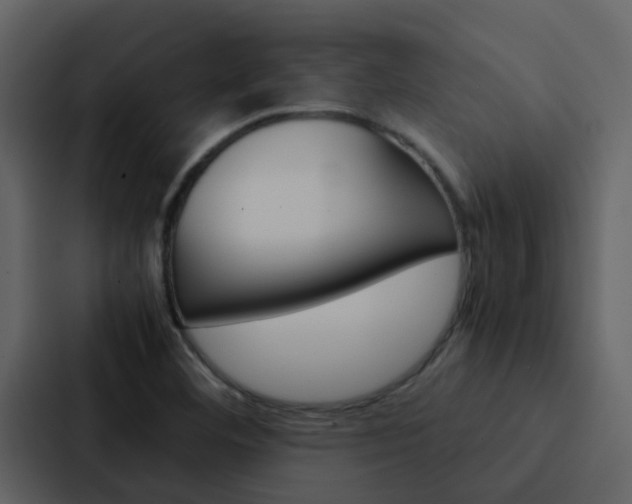 X0000088151460200705141042