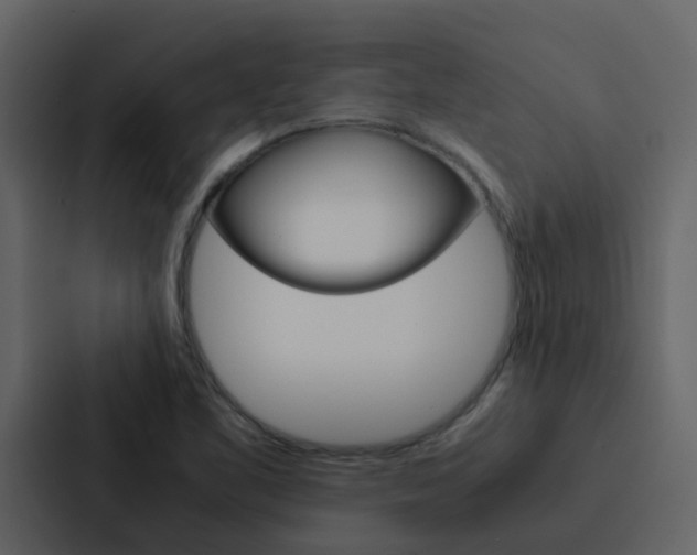 X0000088151461200705141042