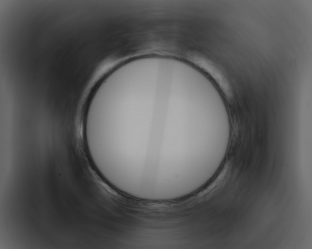 X0000088151462200705141042