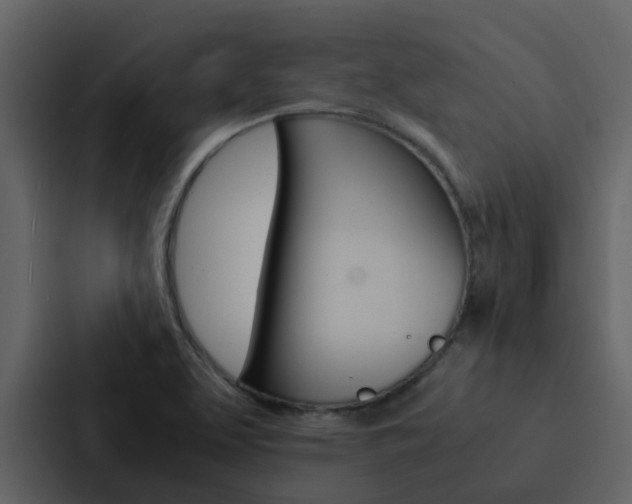 X0000088151463200705141042