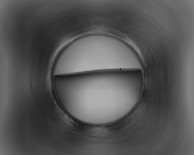 X0000088151464200705141042