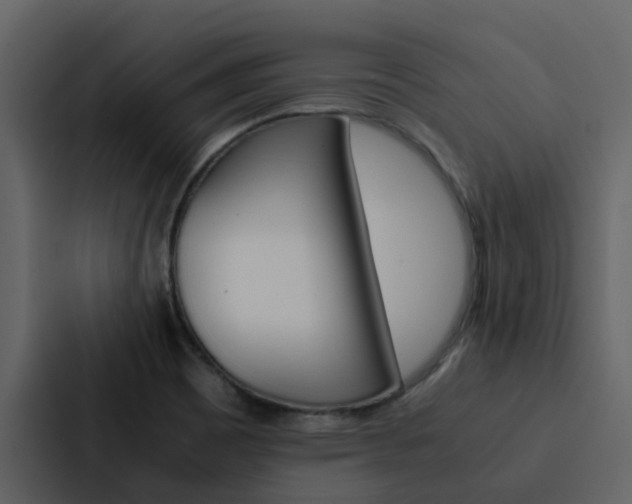 X0000088151465200705141042