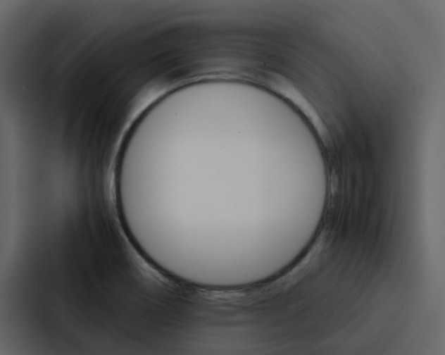X0000088151466200705141042