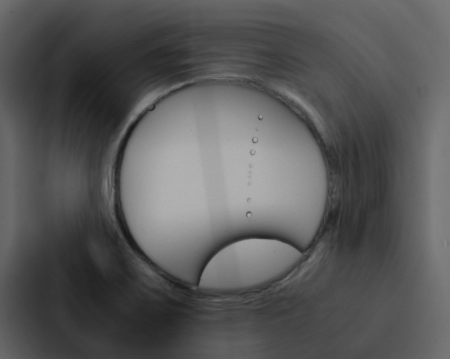 X0000088151467200705141042
