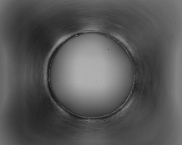 X0000088151469200705141042