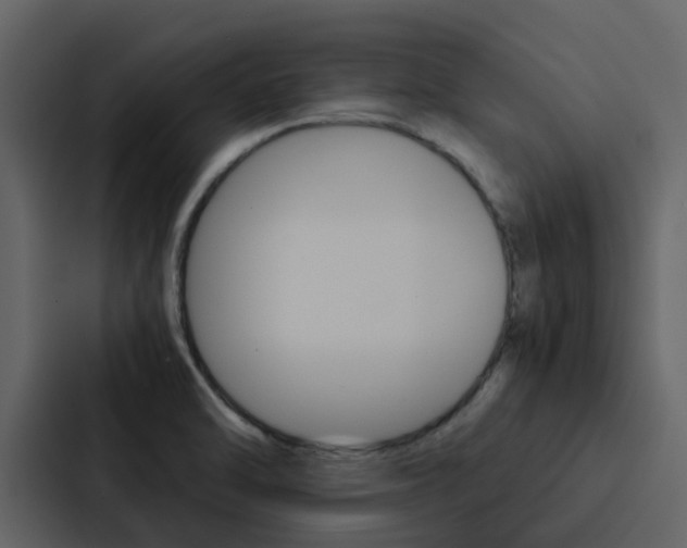 X0000088151470200705141042
