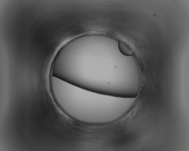 X0000088151471200705141042