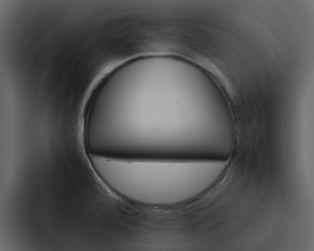 X0000088151472200705141042