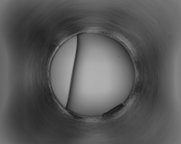 X0000088151473200705141042