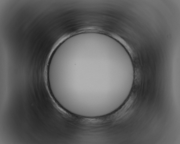 X0000088151474200705141042