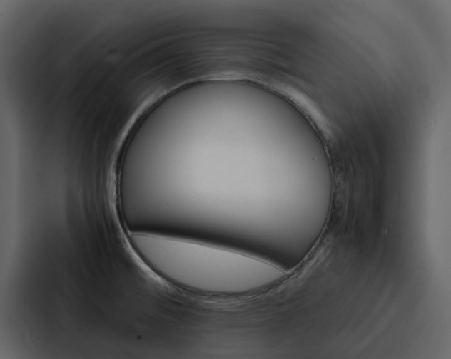 X0000088151476200705141042
