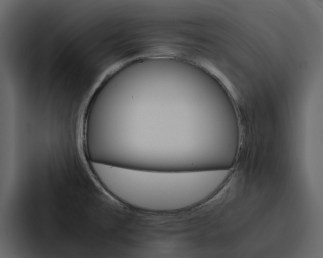 X0000088151477200705141042