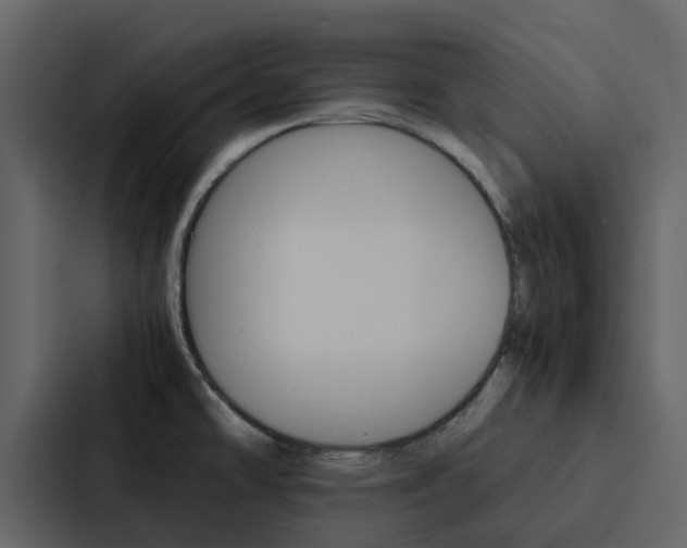 X0000088151478200705141042