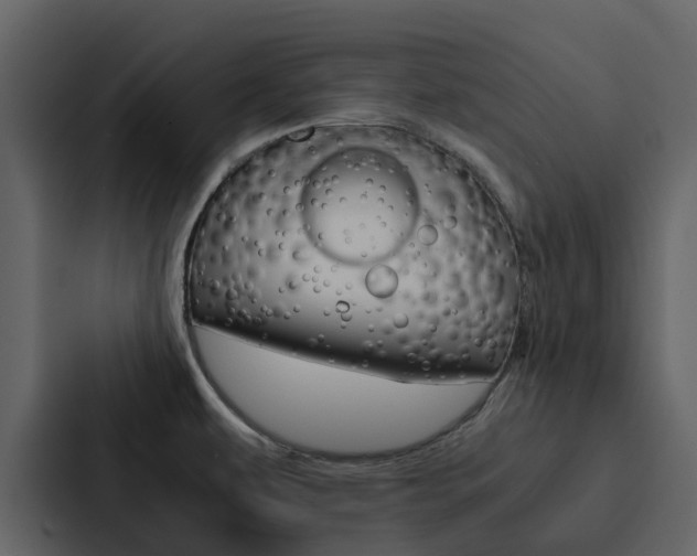 X0000088151479200705141042