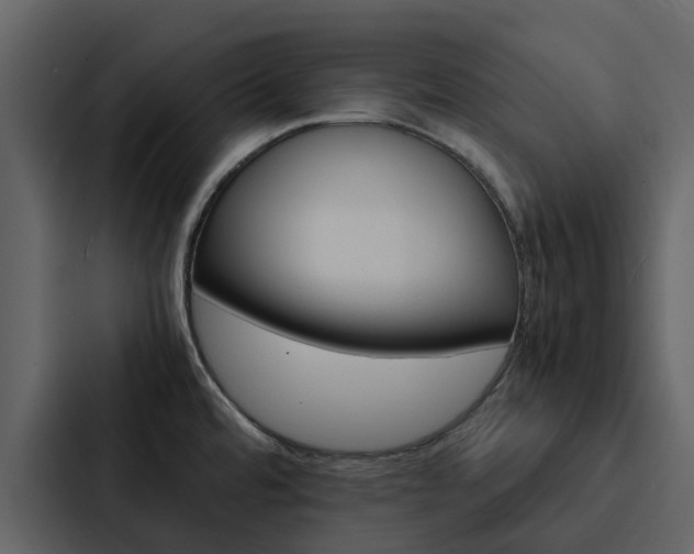 X0000088151480200705141041