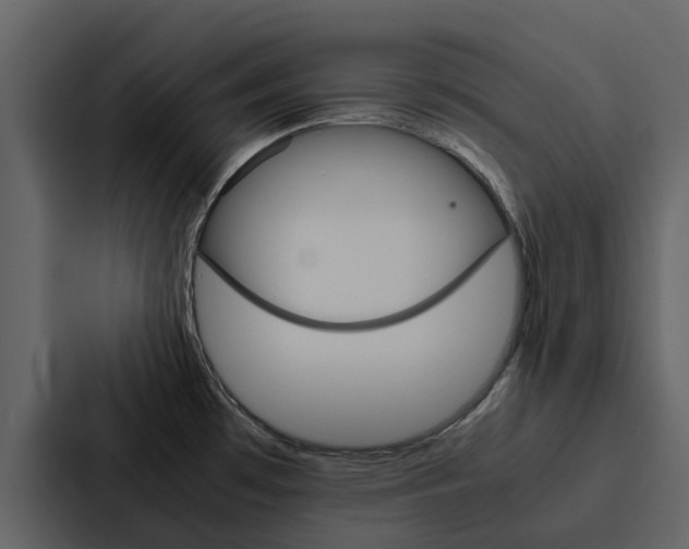 X0000088151481200705141041