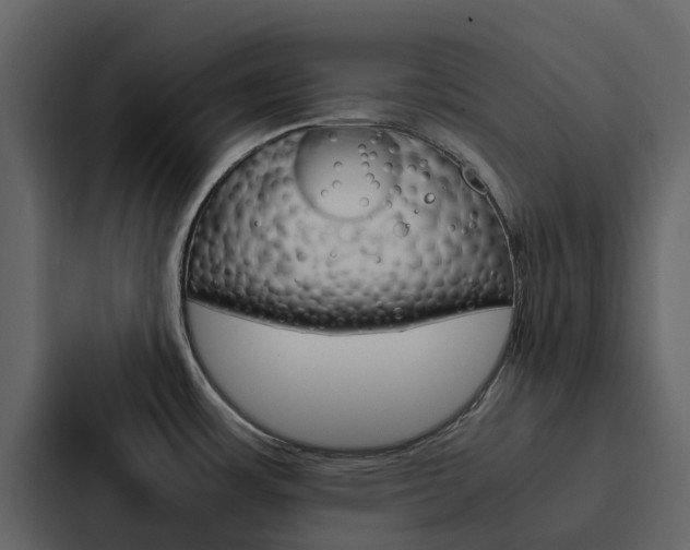X0000088151483200705141041