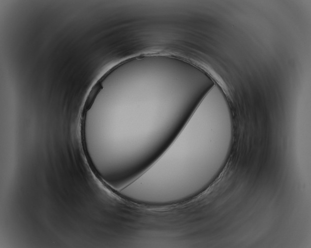 X0000088151484200705141041