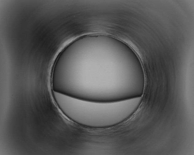 X0000088151485200705141041