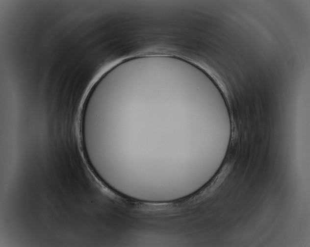 X0000088151486200705141041