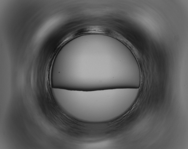 X0000088151487200705141041