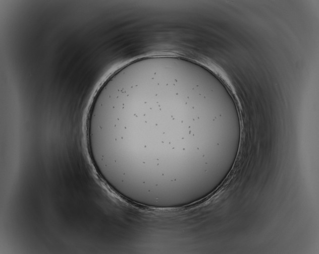 X0000088151488200705141041