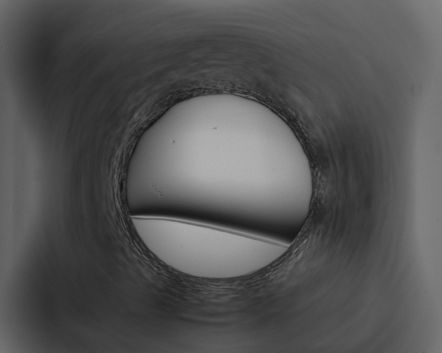 X0000088151489200705141041