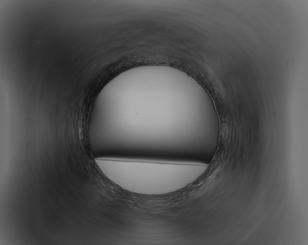 X0000088151490200705141041