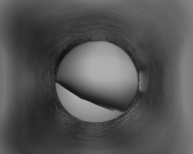 X0000088151491200705141041