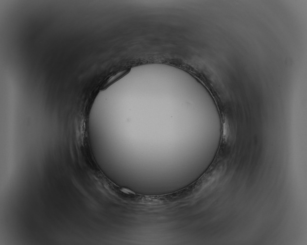 X0000088151492200705141041