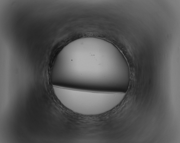 X0000088151493200705141041