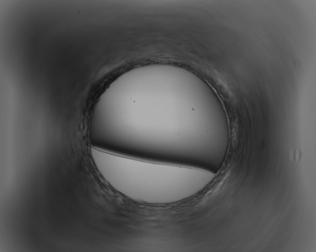 X0000088151494200705141041