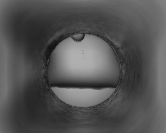 X0000088151495200705141041