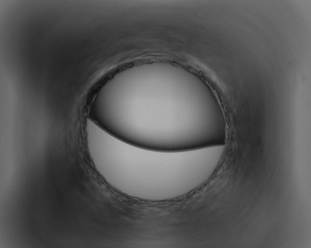 X0000088151496200705141041