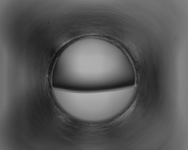 X0000088151497200705141041