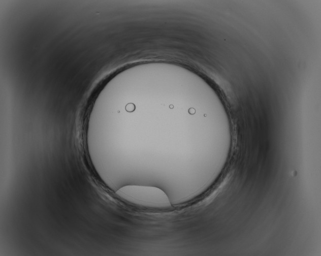 X0000088151498200705141041