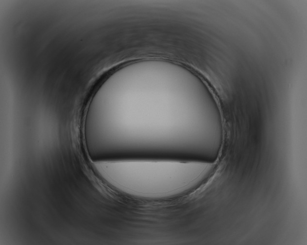 X0000088151499200705141041