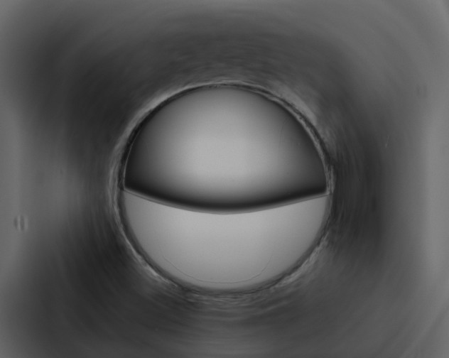 X0000088151500200705141041