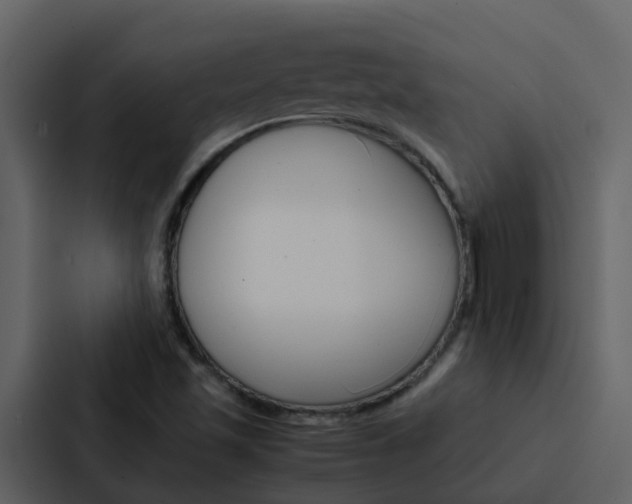 X0000088151501200705141041