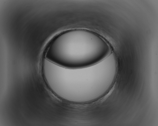 X0000088151502200705141041