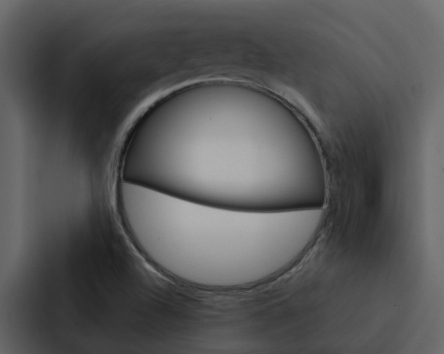 X0000088151504200705141041