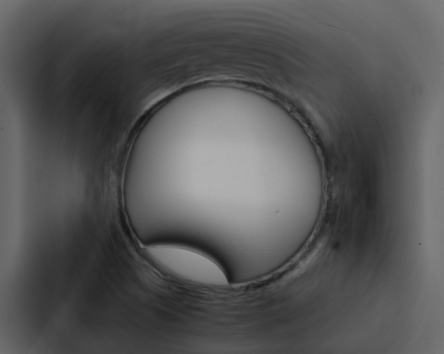 X0000088151505200705141041