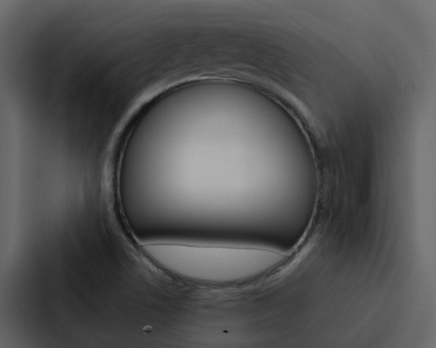 X0000088151506200705141041