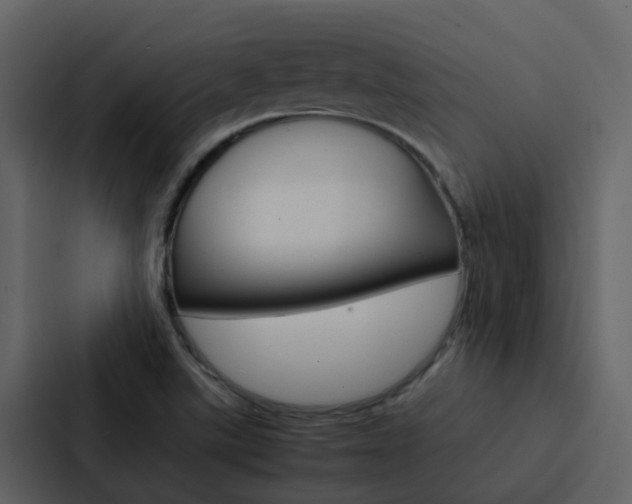 X0000088151507200705141041