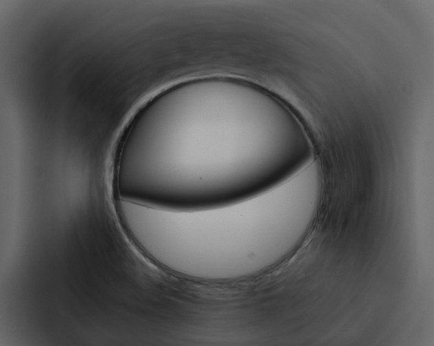 X0000088151508200705141041